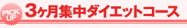 3ヶ月集中コース